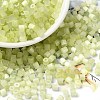 Glass Seed Beads X1-SEED-H002-D-A803-1