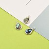 Natural Abalone Shell/Paua Shell Pendants X-PALLOY-JF00477-02-2