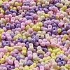 Opaque Baking Paint Glass Seed Beads SEED-K009-01A-27-3