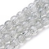 Crackle Glass Beads Strands GLAA-F098-02B-24-1