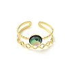 304 Stainless Steel & Natural Abalone Shell/Paua Shell Cuff Open Rings RJEW-JR01107-5
