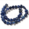 Natural Lapis Lazuli Beads Strands G-R190-10mm-54A-3