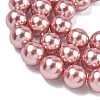 Electroplated Shell Pearl Beads Strands BSHE-G041-14mm-05-3
