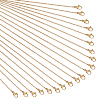  20Pcs 304 Stainless Steel Cable Chain Necklaces Set for Men Women MAK-NB0001-13-1