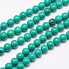 Natural Magnesite Beads Strand X-TURQ-G096-10mm-1