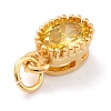 Real 18K Gold Plated Brass Inlaid Cubic Zirconia Charms ZIRC-L100-079G-04-4