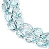 Transparent Glass Beads Strands GLAA-H038-03C-3