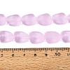 Frosted Handmade Lampwork Beads Strands LAMP-Q041-06E-4