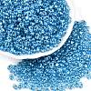 Baking Paint Transparent Glass Seed Beads SEED-N006-05L-1