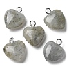 Natural Labradorite Pendants G-E603-01P-08-1