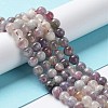 Natural Plum Blossom Tourmaline Beads Strands G-I355-01A-02-3