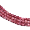 Natural Rhodonite Beads Strands X-G-P553-G06-01-4