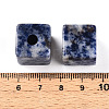 Natural Blue Spot Jasper European Beads G-N345-07A-05-3