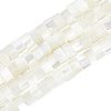  Natural Trochid Shell/Trochus Shell Beads Strands PEAR-NB0001-13-1