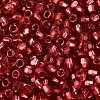Silver Lined Glass Seed Beads SEED-T007-18A-14-3