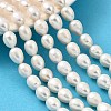 Natural Cultured Freshwater Pearl Beads Strands PEAR-I007-01F-08-1