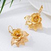 Alloy Dangle Earrings for Women WGBE734-01-2