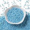 Baking Paint Glass Seed Beads SEED-S042-15A-10-2