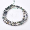 Natural Tree Agate Bead Strands G-J376-11F-6mm-2