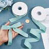 Polyester Ribbons OCOR-WH0120-44C-3