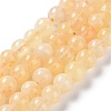 Dyed Natural Malaysia Jade Beads Strands G-G021-02A-11-2