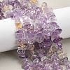 Natural Ametrine Beads Strands G-P622-A02-02-1