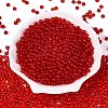 FGB Transparent Glass Seed Beads SEED-N013-01A-09-2