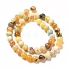 Natural Yellow Opal Beads Strands G-G992-A02-A-4