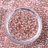 Glass Seed Beads X1-SEED-S042-04A-04-2