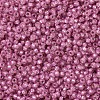 MIYUKI Round Rocailles Beads SEED-G007-RR0645-3