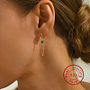 Cubic Zirconia Hoop Earrings DM6204-1-2