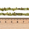 Natural Peridot Beads Strands X-G-P332-48-02-4