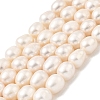 Natural Cultured Freshwater Pearl Beads Strands PEAR-I007-01E-03A-2