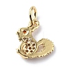 Brass Micro Pave Cubic Zirconia Charms ZIRC-F131-11G-2