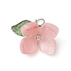 4Pcs 4 Colors Resin Pendants PALLOY-TA00213-02-3