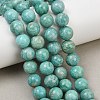 Natural Amazonite Beads Strands G-F461-12-10mm-01-8