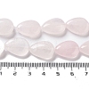 Natural Rose Quartz Beads Strands G-P528-L18-01-5