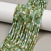 Natural Chrysoprase Beads Strands LS-G-M389-22-1