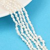 Natural Cultured Freshwater Pearl Beads Strands PEAR-P064-20E-01A-1