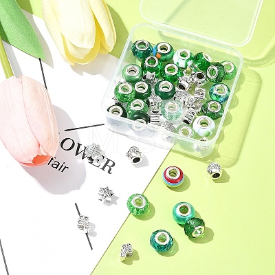 DIY Tibetan Style Alloy & Resin European Beads Making Finding Kits DIY-FS0006-78A-1