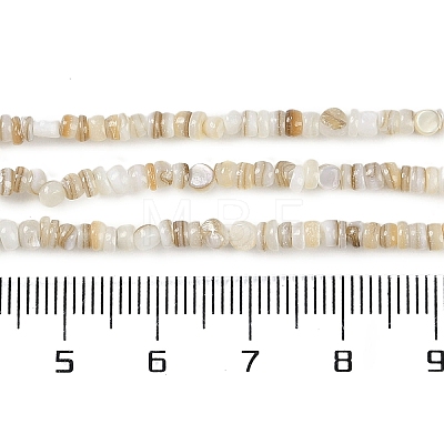 Natural Freshwater Shell Beads Strands X-BSHE-H109-13A-1