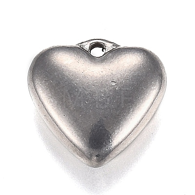 Tarnish Resistant 304 Stainless Steel Charms STAS-I166-12B-1