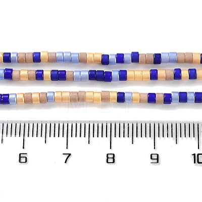 Handmade Czech Lampwork Beads Strands LAMP-L078-008G-1