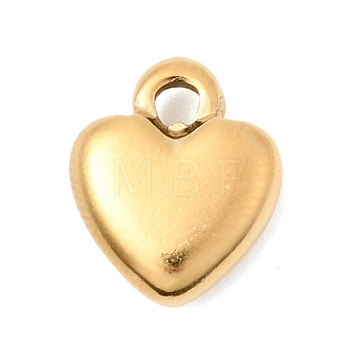 304 Stainless Steel Pendants STAS-P450-05B-G-1