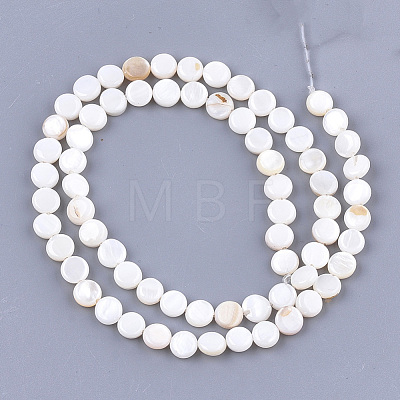 Freshwater Shell Beads Strands SHEL-S276-15A-1