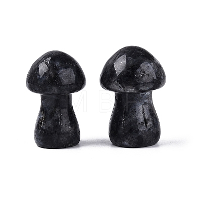 Natural Larvikite Mushroom Display Decorations G-Q602-03B-1