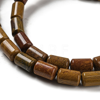 Natural Petrified Wood Beads Strands G-M420-E06-03-1
