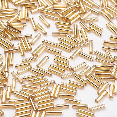 Glass Bugle Beads SEED-E001-9mm-22-1