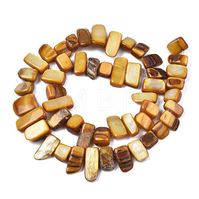 Natural Trochid Shell/Trochus Shell Beads Strands SHEL-S258-082-B09-1
