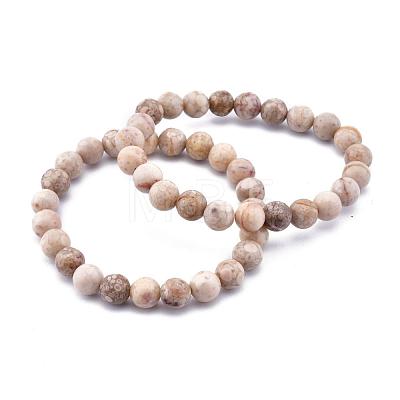 Natural Maifanite/Maifan Stone Bead Stretch Bracelets BJEW-K212-C-044-1